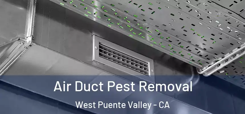 Air Duct Pest Removal West Puente Valley - CA