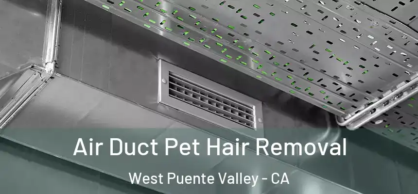 Air Duct Pet Hair Removal West Puente Valley - CA