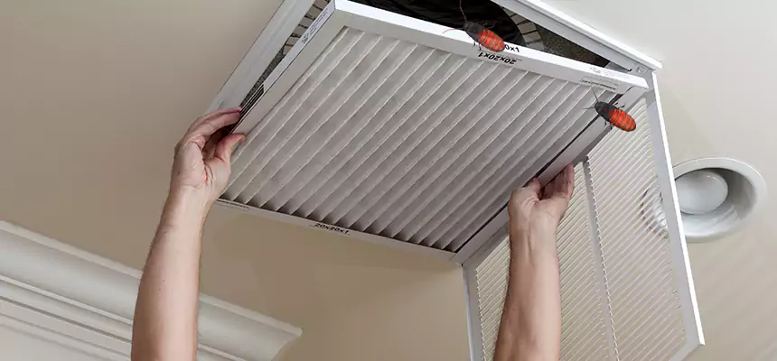 Our Insect Removal from Air Ducts Services in West Puente Valley, CA