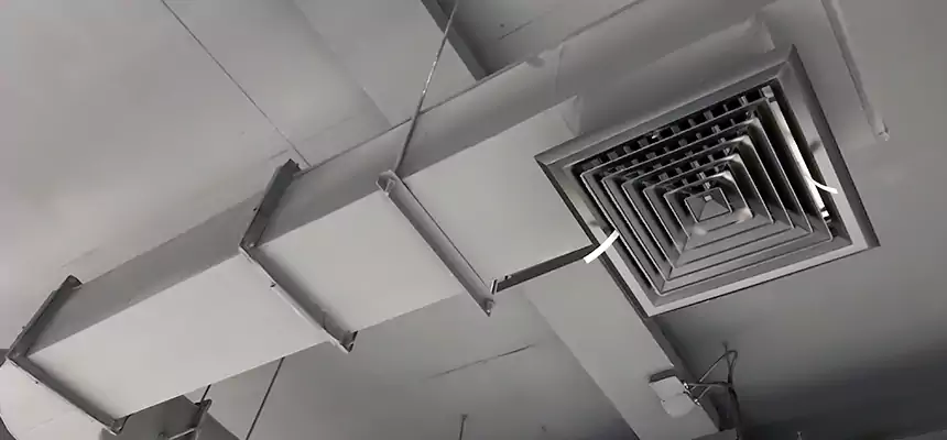 Our Pest Removal From Ducts Services in West Puente Valley, CA