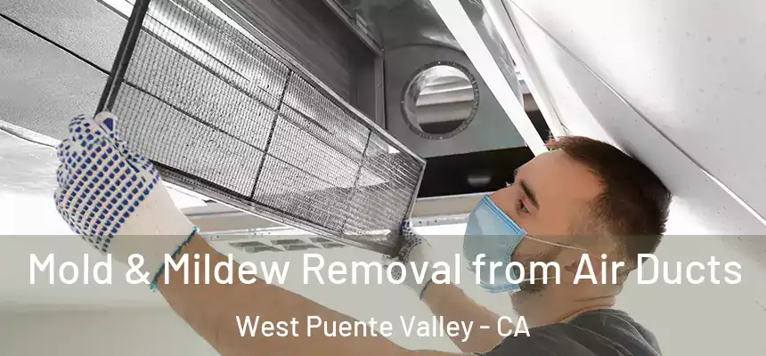 Mold & Mildew Removal from Air Ducts West Puente Valley - CA