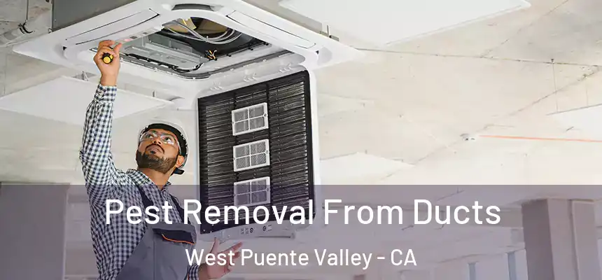 Pest Removal From Ducts West Puente Valley - CA