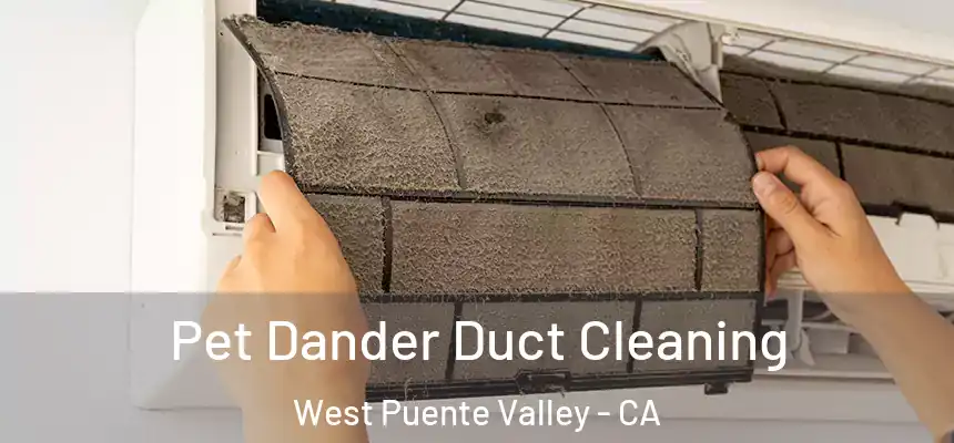  Pet Dander Duct Cleaning West Puente Valley - CA