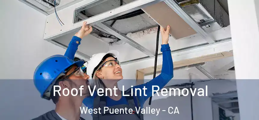  Roof Vent Lint Removal West Puente Valley - CA