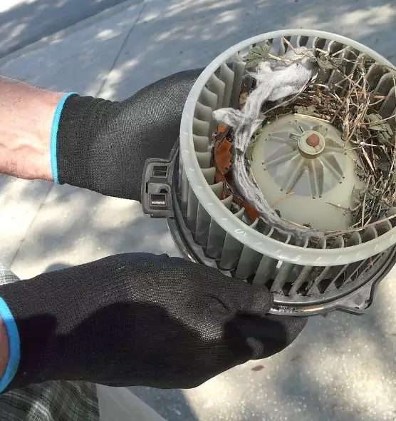 About Air Duct Rat Removal in West Puente Valley, CA