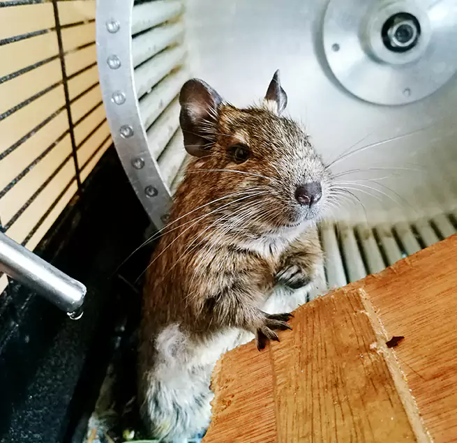 Why Homeowners & Businesses Trust Us West Puente Valley, CA?