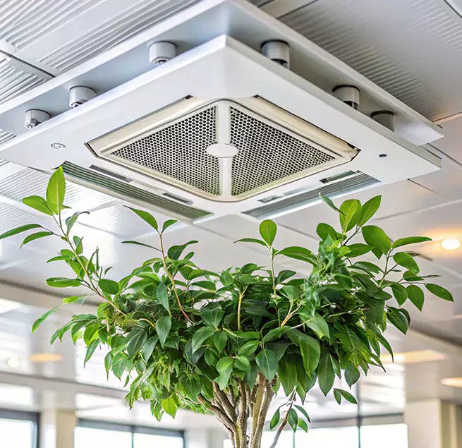 Why Homeowners & Businesses Trust Us in West Puente Valley, CA?